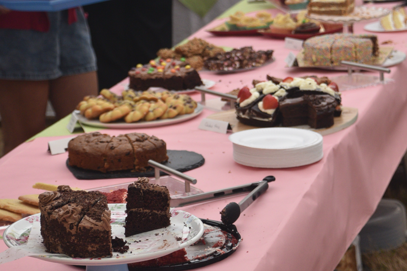 Cakes available at the tea tent